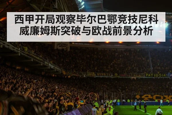 soccer stadium night atmosphere
